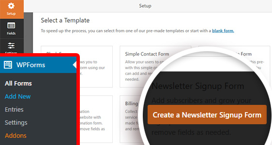 Create Newsletter Signup Form