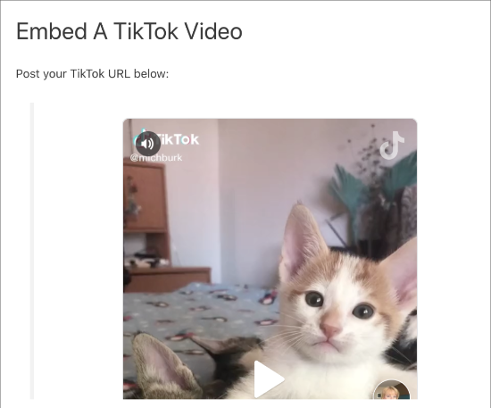 Embedded Tiktok