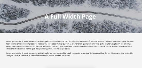 Fullwidthpagepreview