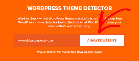 Wordpress Theme Detector Analyze Website