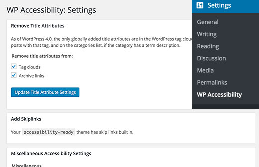 Wpaccessibility Settings