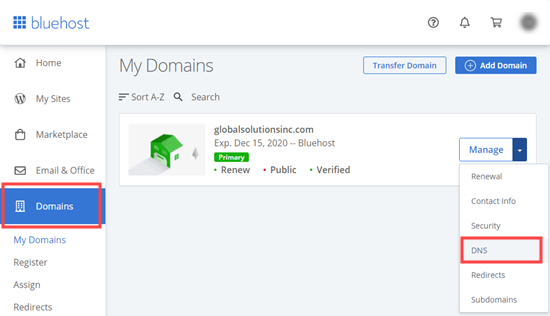 Domains Manage Dns Bluehost