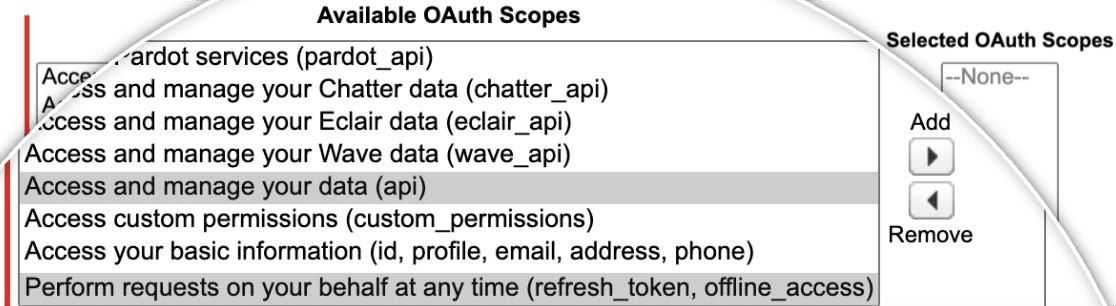 Selected OAuth Scopes For Salesforce 1