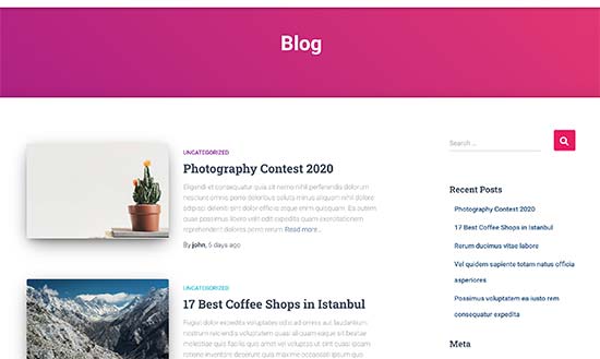 Blogpagepreview