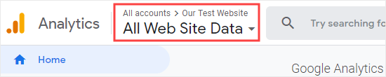 Google Analytics Website Selected