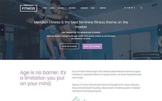 Meridian Fitness Theme