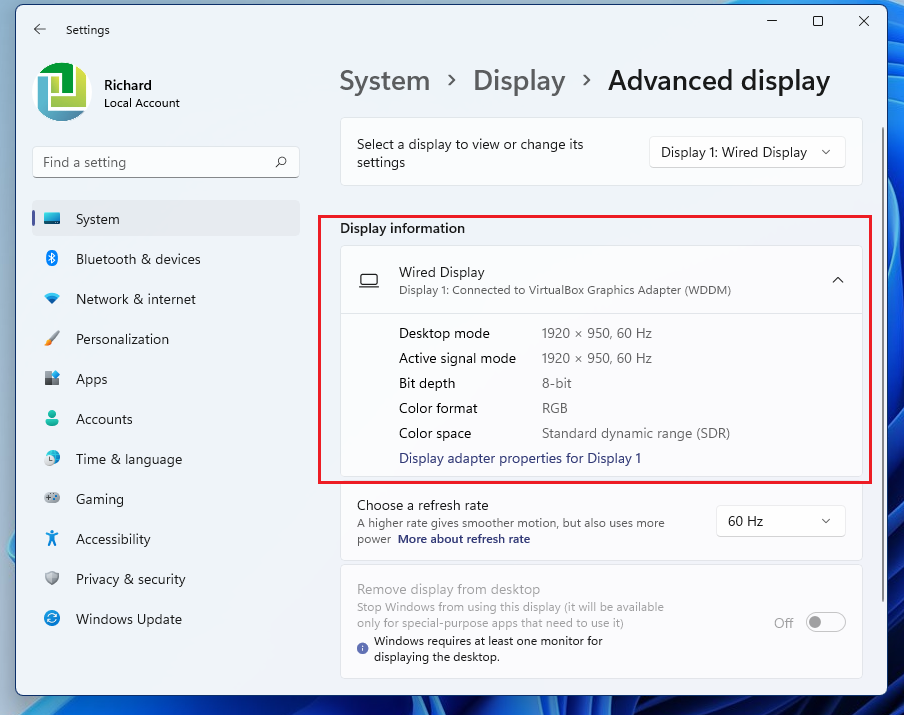 Windows 11 controlla i dettagli del display