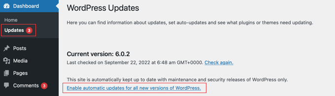 Abilita gli aggiornamenti automatici di WordPress